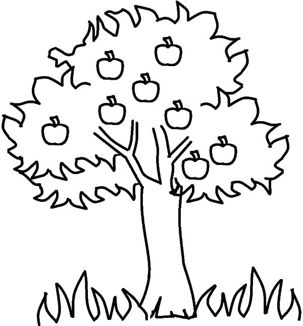 Яблоня с яблоками рисунок для детей 008