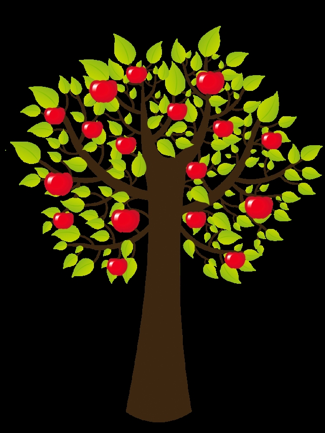 Яблоня с яблоками рисунок для детей 024