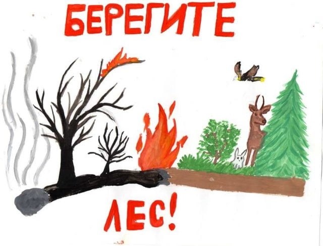 детские рисунки на тему берегите лес от пожара 018