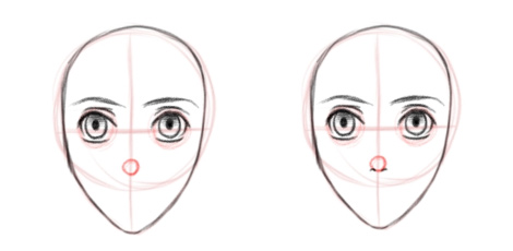 Расположение носа на лице, вид в анфас