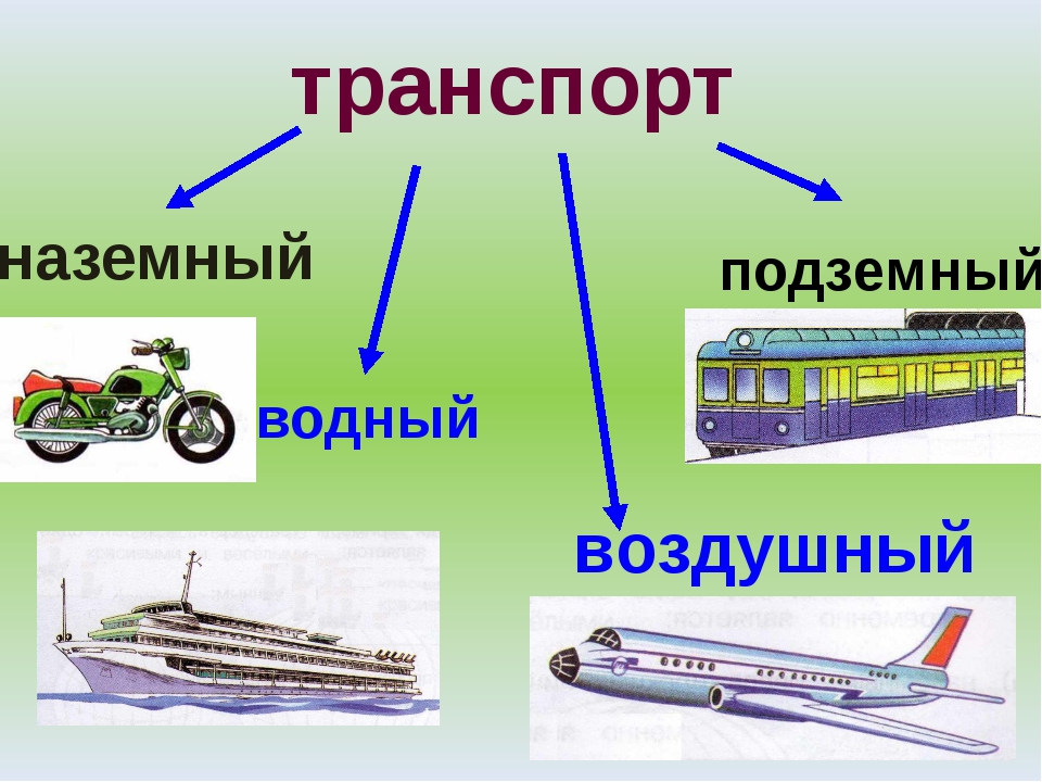 Какие виды транспорта в москве. Транспорт. Наземный транспорт. Виды транспорта. Виды наземного транспорта.