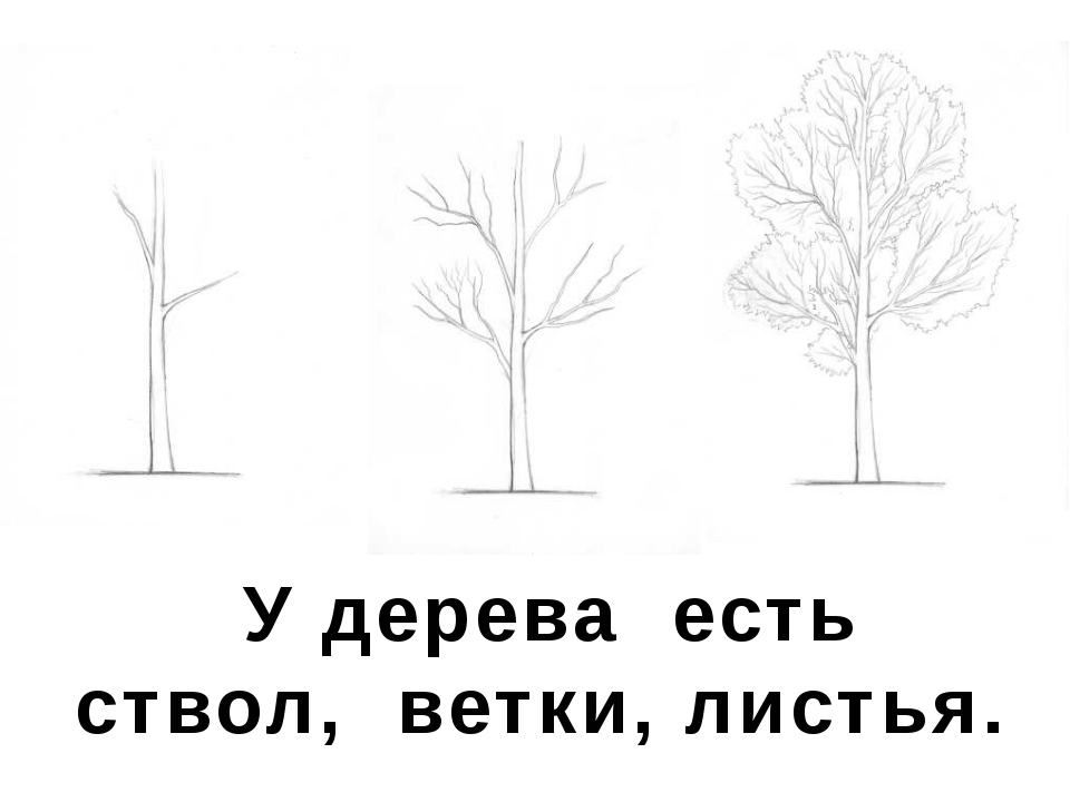 Рисуем осеннее дерево поэтапно презентация 2 класс