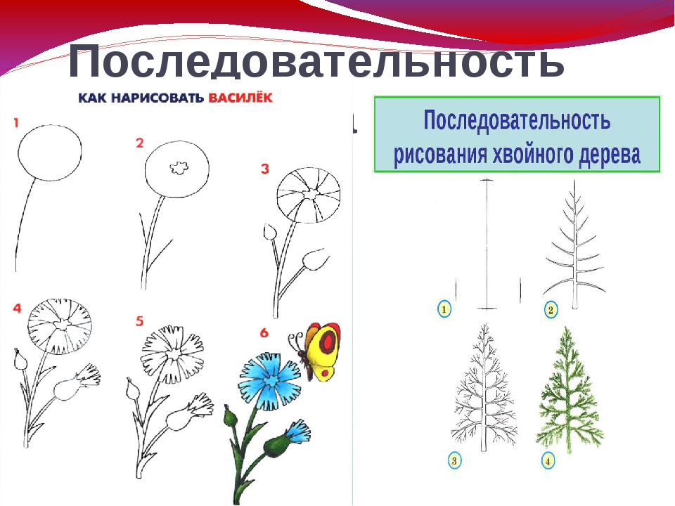 Рисунок по описанию. Последовательность рисования. Схем последовательности рисования. Последовательный рисунок. Образцы последовательного рисования.