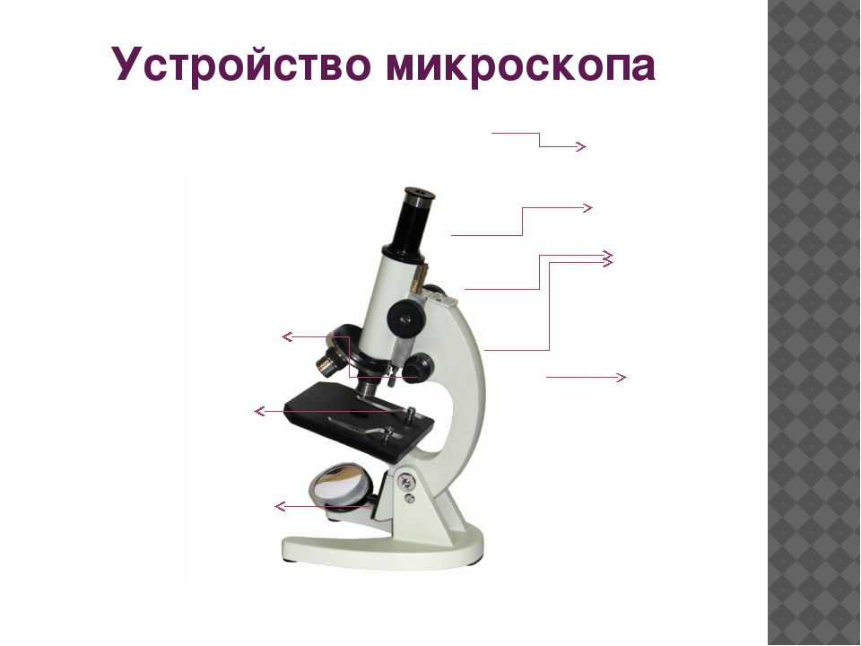 Микроскоп тема. Строение микроскопа биология. Микроскоп части микроскопа биология 5 класс. Строение микроскопа 5 класс биология. Световой микроскоп 5 класс биология.