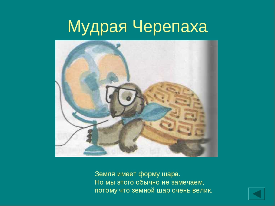 На что похожа планета 1 класс презентация. Мудрая черепаха. Мудрая черепаха окружающий мир. Рассказ мудрой черепахи. Мудрая черепаха окружающий мир 1 класс.