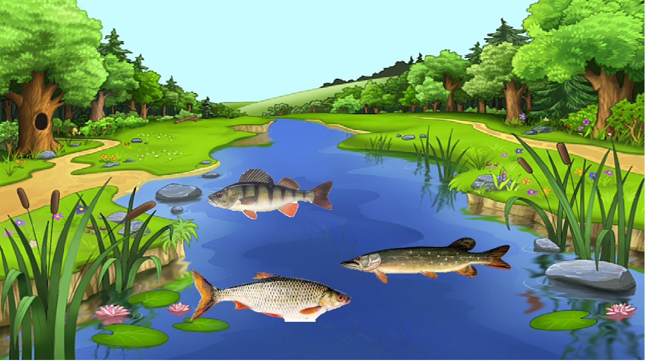 Лесное озеро рыба. Река для детей. Водоемы для дошкольников. Речка для детей детского сада. Озеро с рыбой для детей.