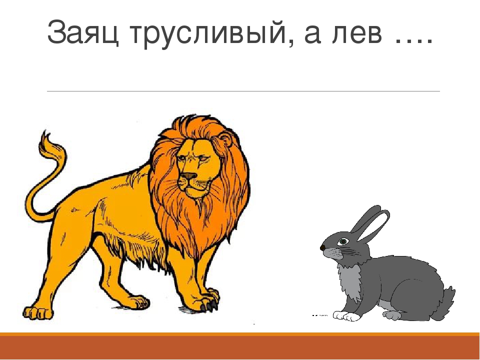 Лев предложения. Смелый трусливый. Трусливый заяц. Лев с зайцами. Заяц левтрусливыйсмелый.