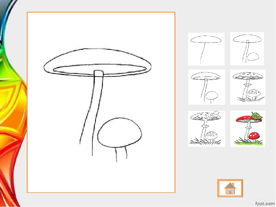 Грибы поэтапно. Поэтапное рисование гриба. Рисование мухомор. Мухомор рисунок карандашом. Поэтапное рисование мухомора.
