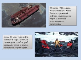 23 марта 1989 года на Аляске танкер «Эксон Валдиз», груженый нефтью, напорол