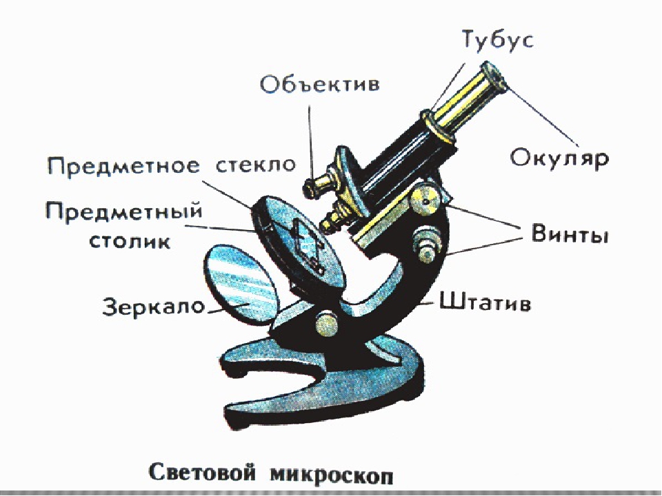 Части цифрового микроскопа и их названия. Схема устройства школьного микроскопа. Принцип работы микроскопа схема. Схема светового микроскопа. Устройство оптического микроскопа схема.