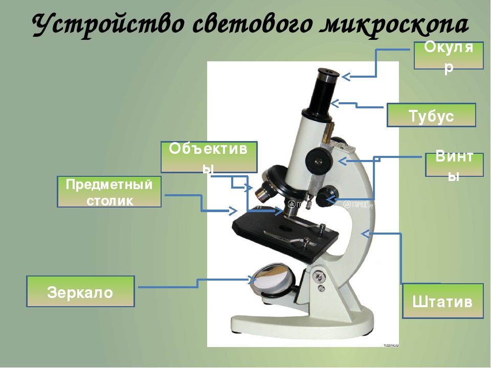 Какую функцию выполняет основа микроскопа. Увеличительные приборы световой микроскоп 6 класс биология. Увеличительные приборы 5 класс биология микроскоп. Детали цифрового микроскопа 5 класс. Цифровой микроскоп биология 5 класс.
