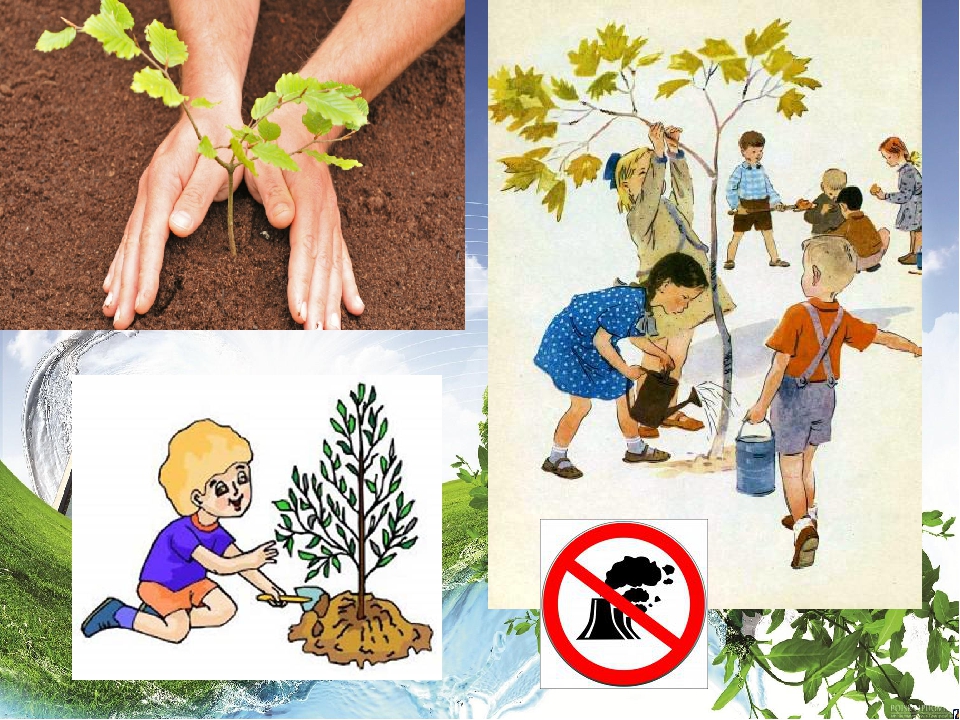 Добрые дела в природе окружающий мир. Защитим природу. Охрана природы. Экология картинки для детей. Защита природы для детей.