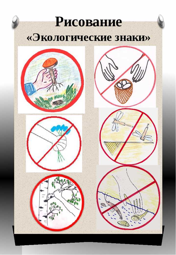 Рисунок знаки к правилам экологической безопасности. Рисование экологических знаков. Экологические знаки природы. Экологические условные знаки.