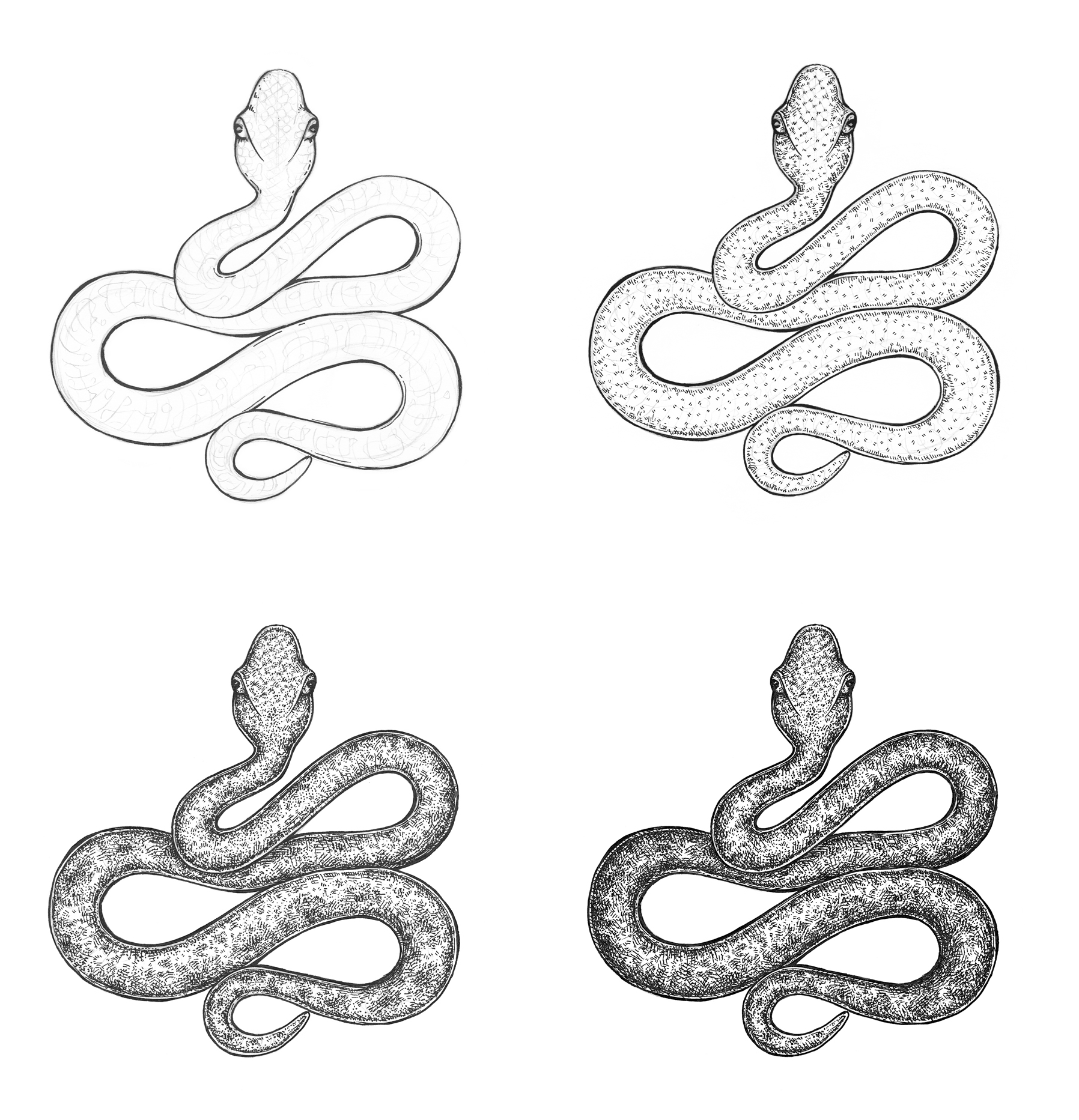 Легкий рисунок змей. Змея карандашом. Рисунок змеи карандашом для срисовки. Змея карандашом для срисовки. Как нарисовать змею.
