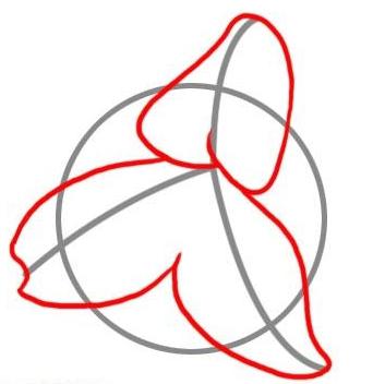 как рисовать лилию карандашом