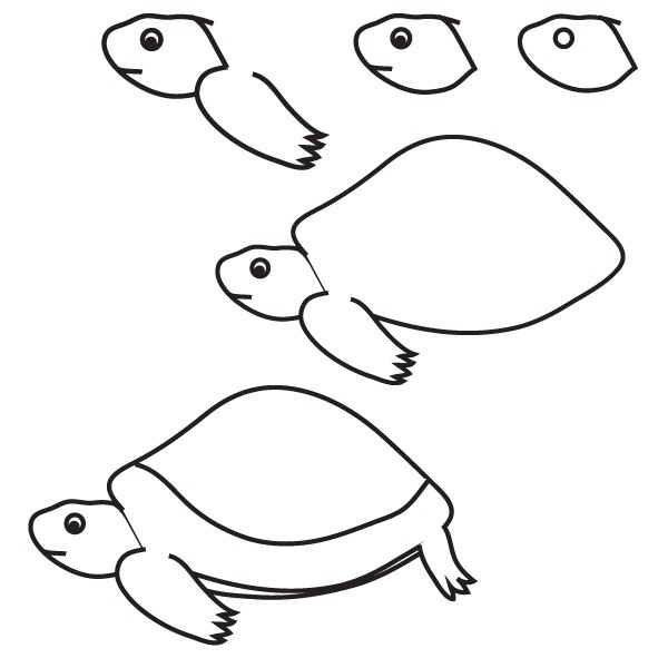 как нарисовать черепаху