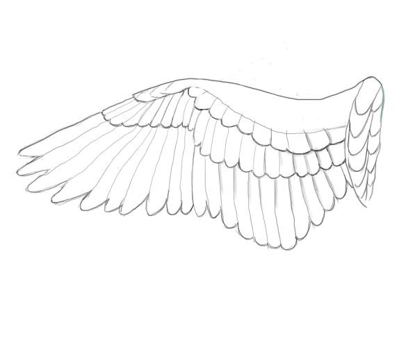 как нарисовать крылья