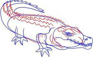 как нарисовать крокодила карандашом