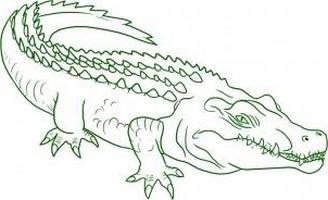как нарисовать крокодила