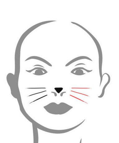 как на лице нарисовать кошку