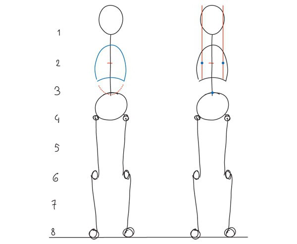 рисование человека пропорции тела