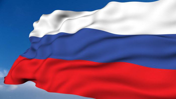 Как быстро нарисовать флаг России