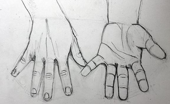 как нарисовать кисть руки