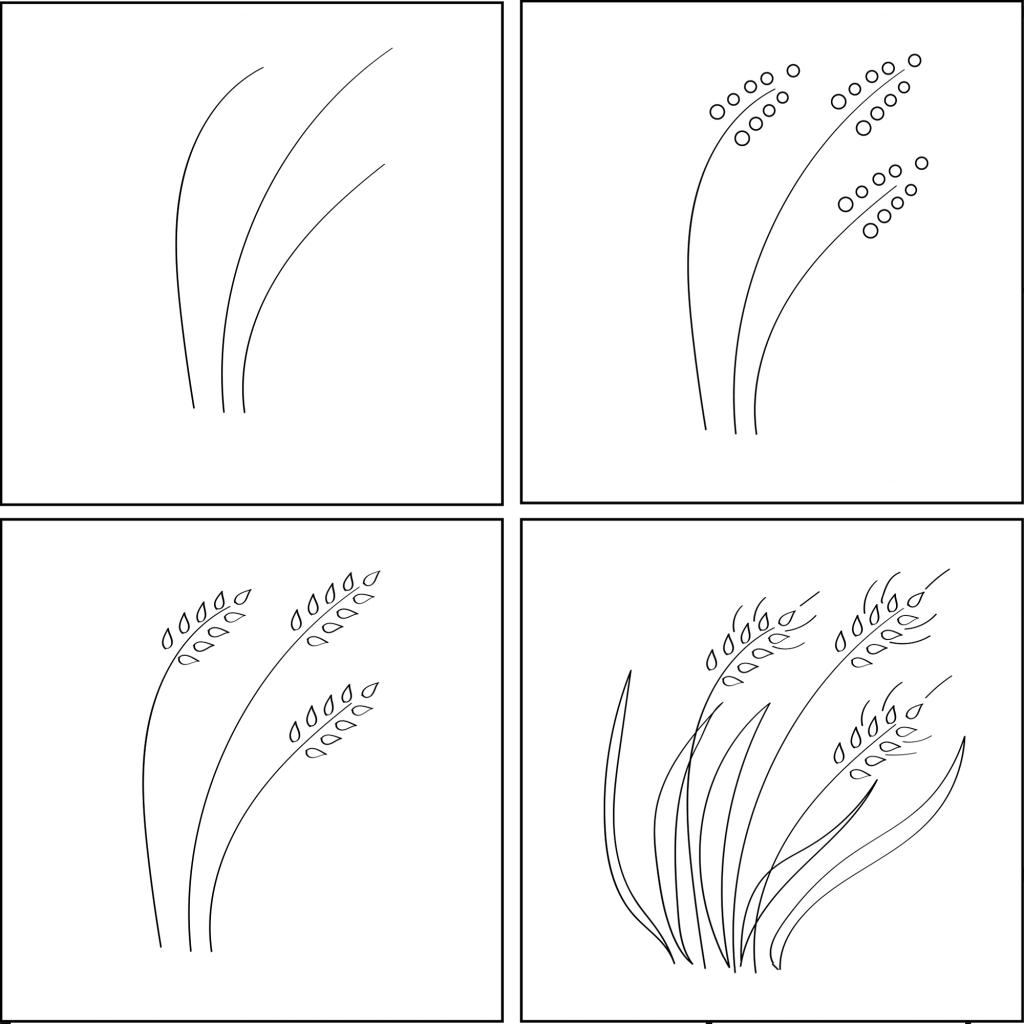 Поэтапное рисование пшеницы