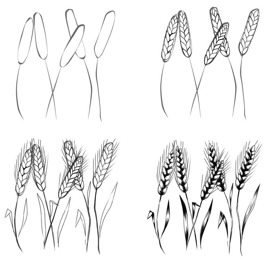Рисование пшеницы