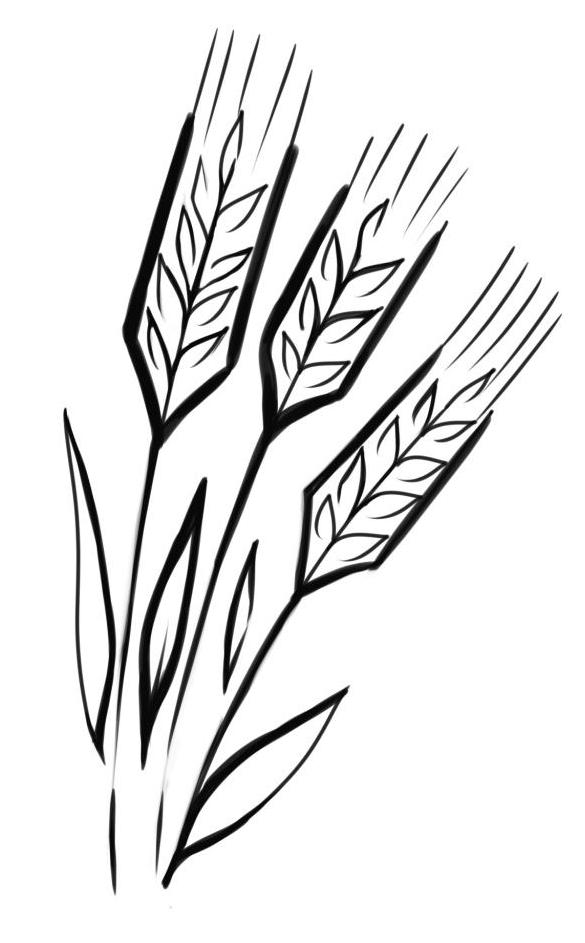 Еще способ нарисовать пшеницу
