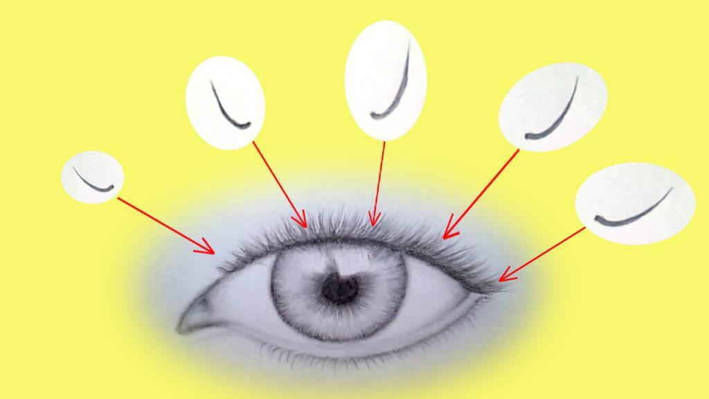 Как правильно рисовать ресницы на глазах на планшете
