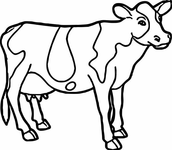 Раскраска с коровой