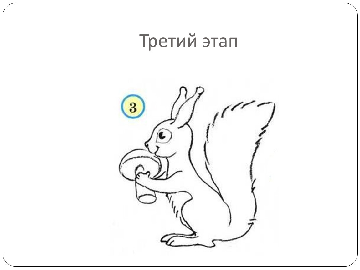 Легкие белки. Поэтапное рисование белочки. Белочка рисунок для детей карандашом. Белочка поэтапное рисование для детей. Этапы рисования белочки.