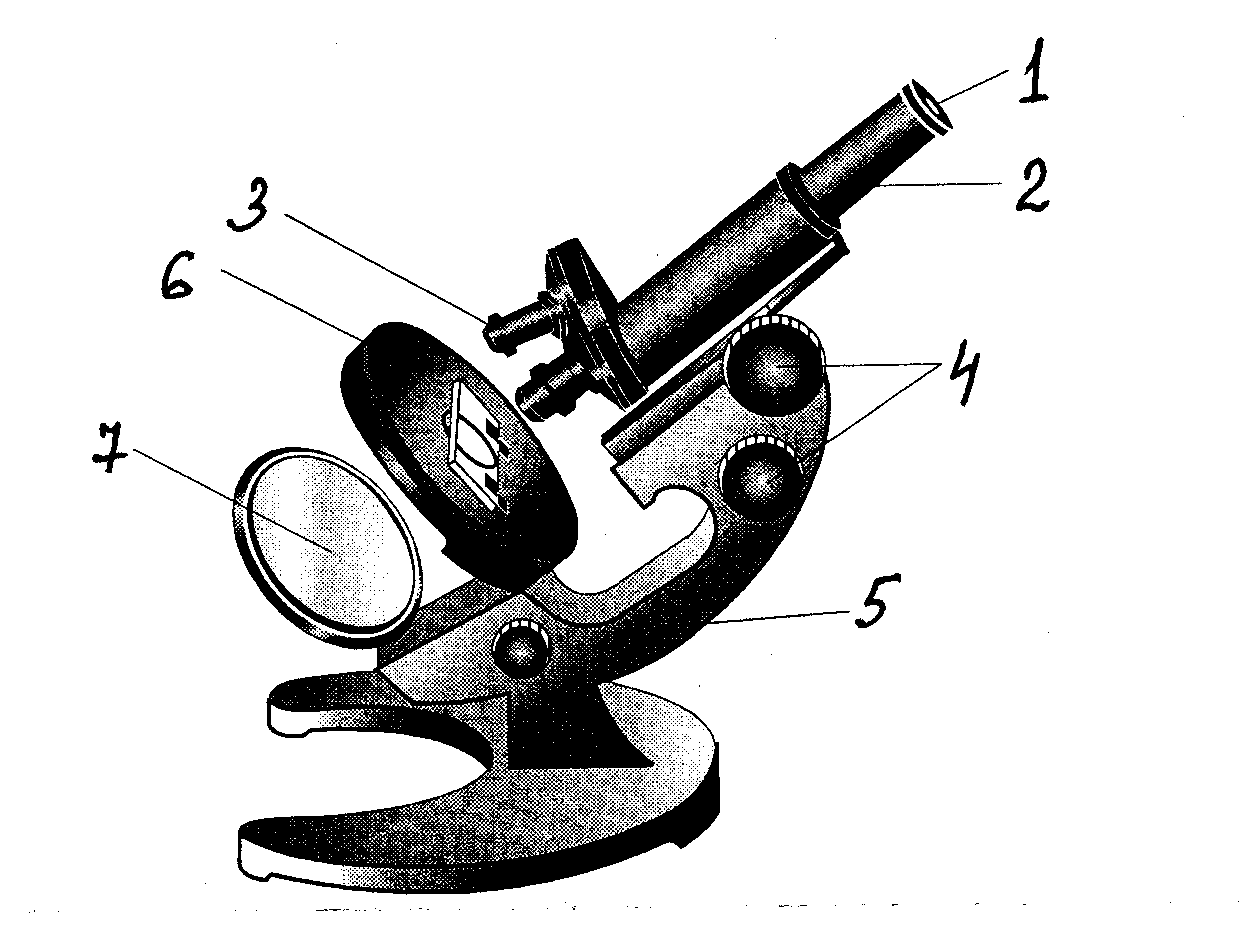 Строение микроскопа с надписями