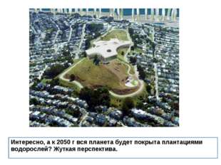 Интересно, а к 2050 г вся планета будет покрыта плантациями водорослей? Жутка Интересно, а к 2050 г вся планета будет покрыта плантациями водорослей? Жутка