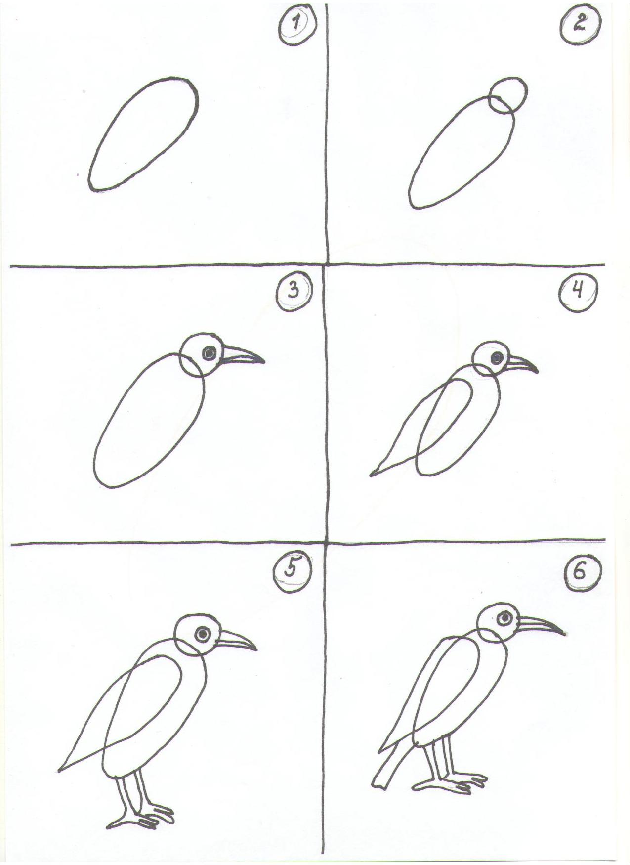 Рисовать птичку поэтапно для детей