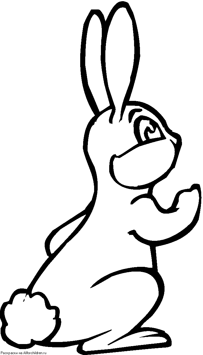 След зайца рисунок