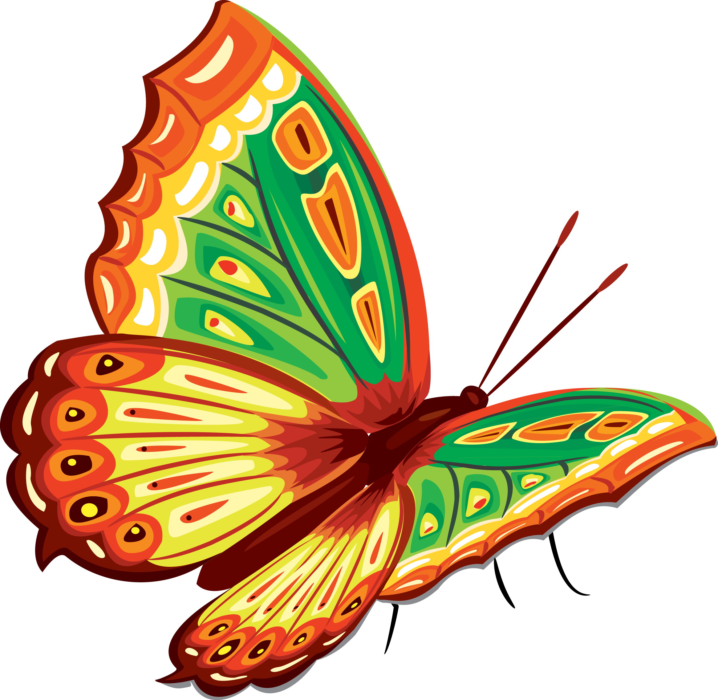 Бабочка капустница рисунок для детей