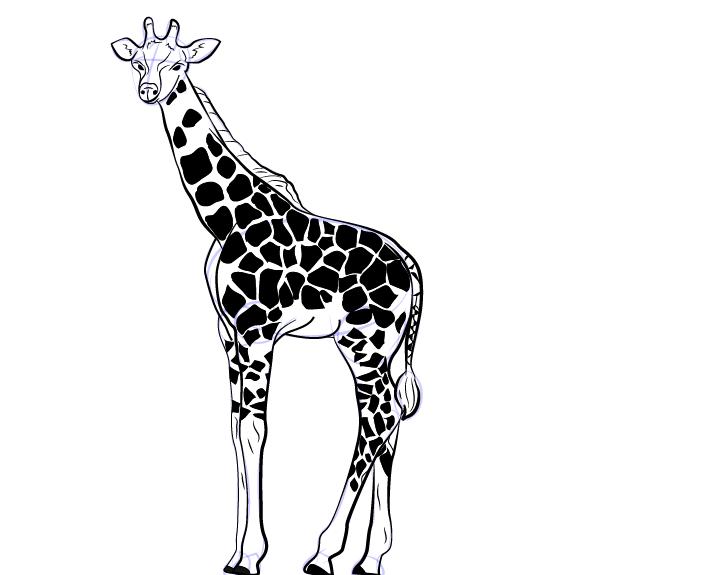 Жираф шаг 9