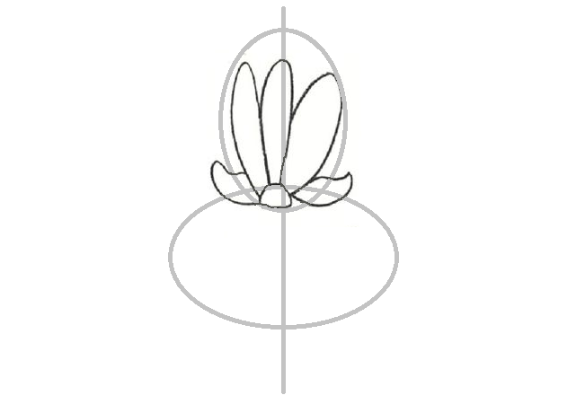 Как нарисовать цветок ириса: рисуем бородки на фолах