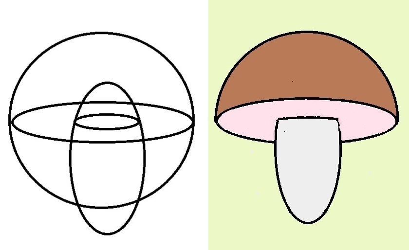 Как нарисовать белый гриб для начинающих