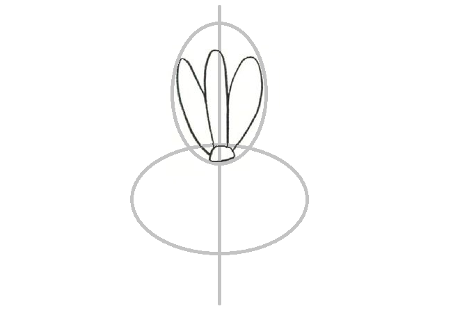 Как нарисовать цветок ириса: рисование верхних лепестков.
