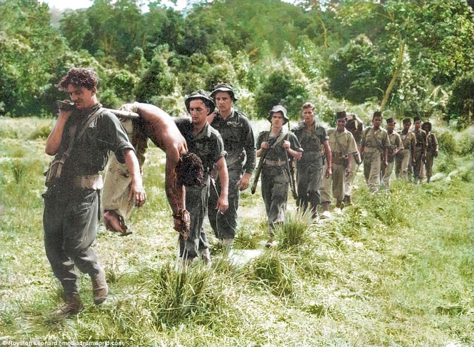 A squadron of allied soldiers including British troops trek through the jungle with a bloodied communist soldier slumped and bound over a wooden pole. Taken from a conflict against communist insurgents known as