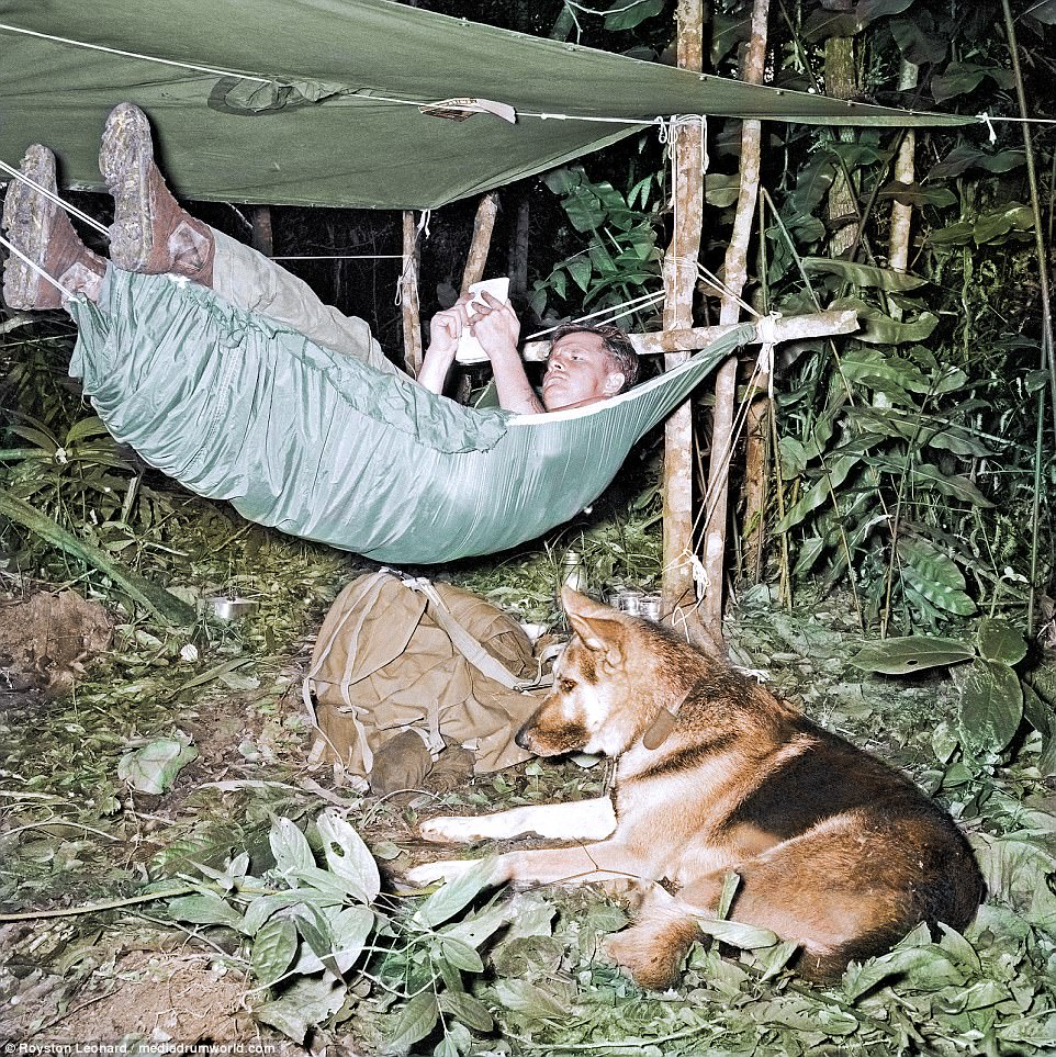 A British troop relaxes in a hammock whilst reading a book with a dog by his side. Described as a guerilla war, the Malayan Emergency was a conflict fought between the UK, Commonwealth and other security forces against Communist insurgents in Malaysia. It lasted from 1948 to 1960 and began after a period of sustained civil unrest in the region