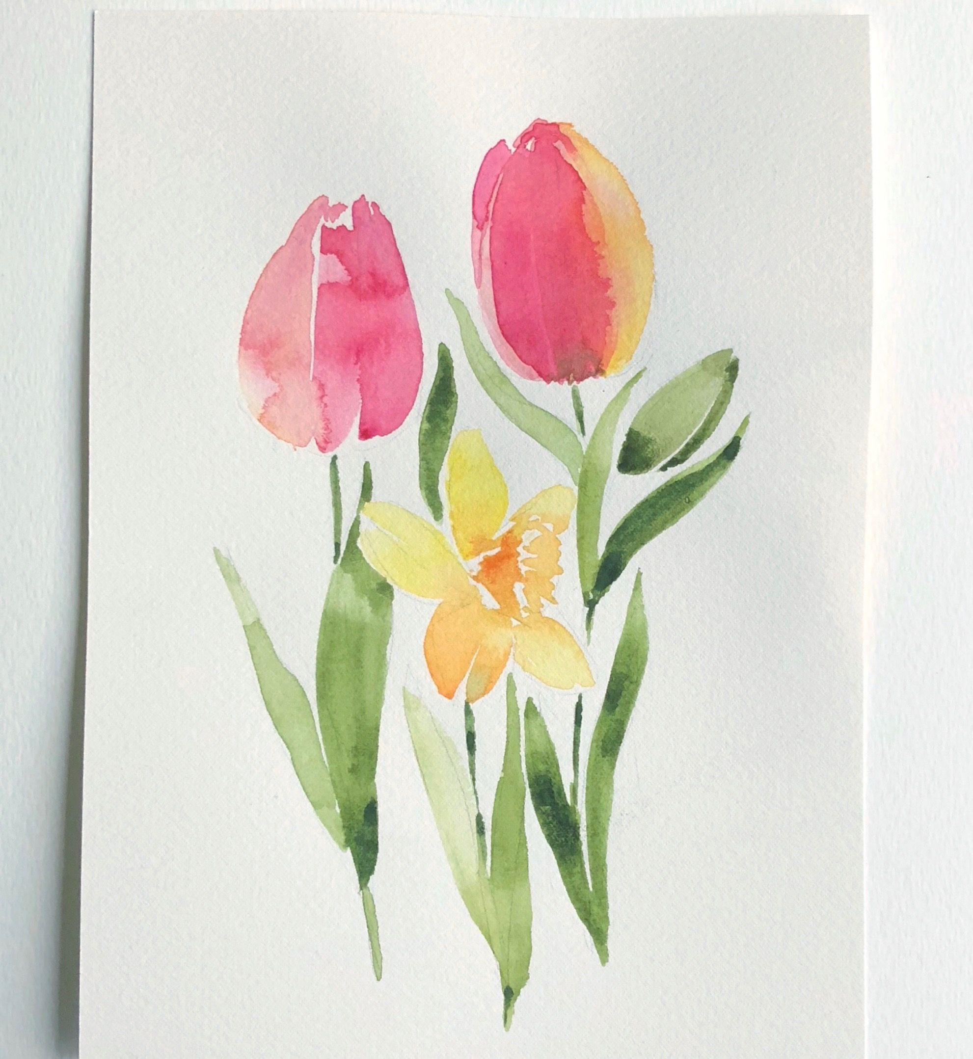 Рисование тюльпанов акварелью