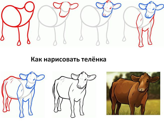 Нарисовать корову поэтапно