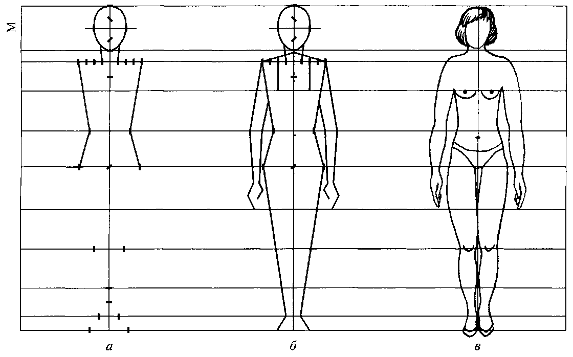 Рисунок изображение фигуры. Схема построения человека пропорции. Изображение фигуры человека. Схема рисования фигуры человека. Фигура человека рисунок.