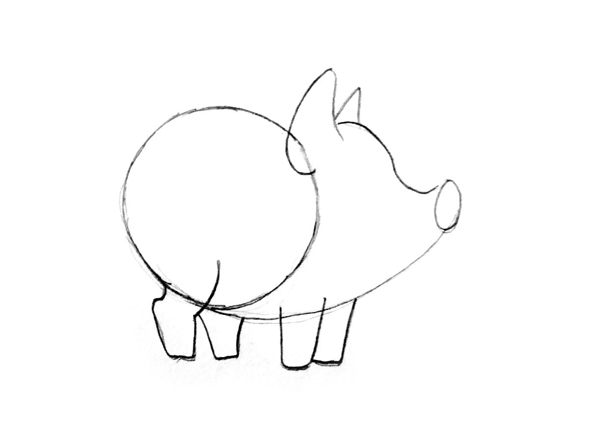 Как нарисовать свинью