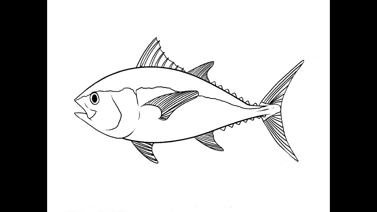 Картинки рыб для срисовки