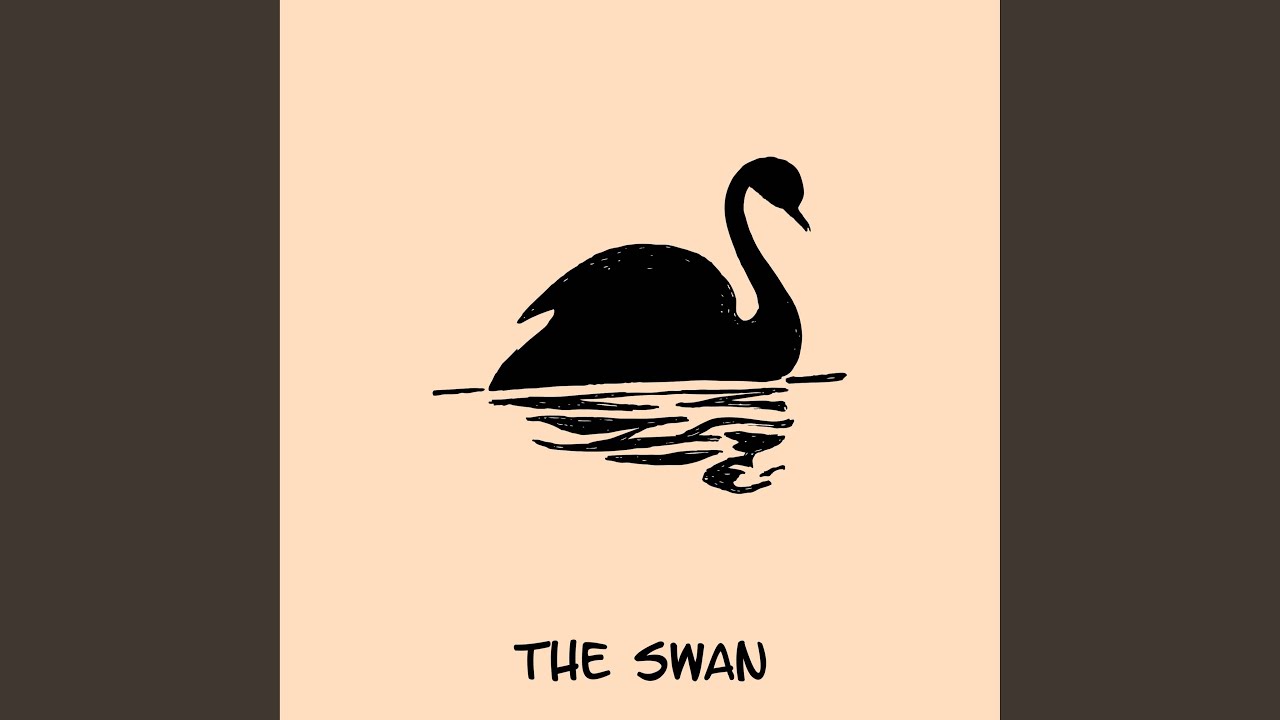 Ч Black Swan силуэт